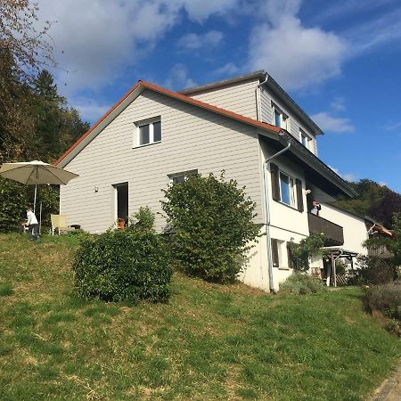 ガイリンゲン Alpenpanorama Am Hochrheinヴィラ エクステリア 写真