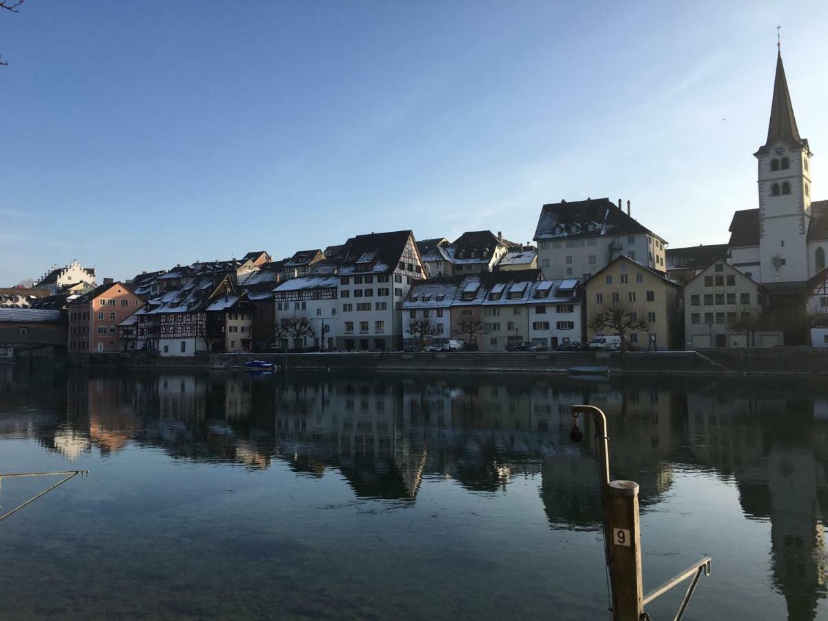 ガイリンゲン Alpenpanorama Am Hochrheinヴィラ エクステリア 写真