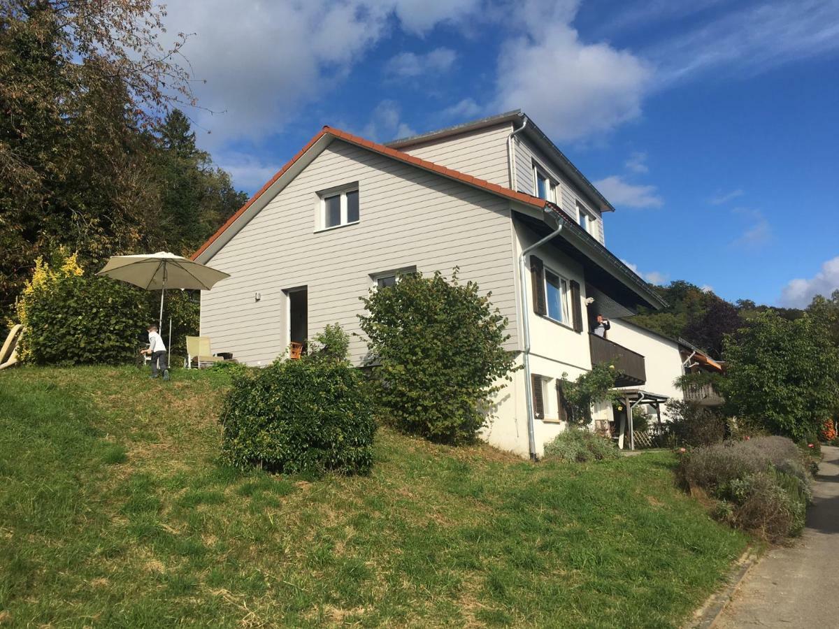 ガイリンゲン Alpenpanorama Am Hochrheinヴィラ エクステリア 写真