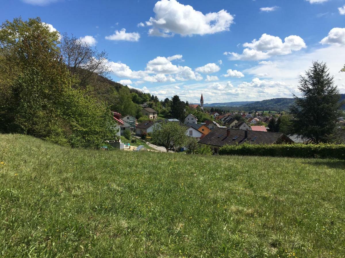 ガイリンゲン Alpenpanorama Am Hochrheinヴィラ エクステリア 写真