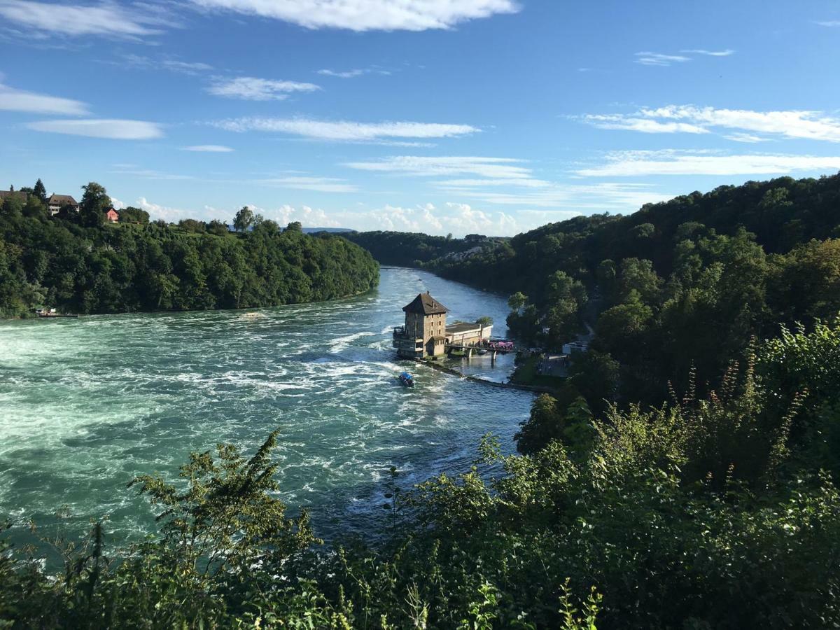 ガイリンゲン Alpenpanorama Am Hochrheinヴィラ エクステリア 写真