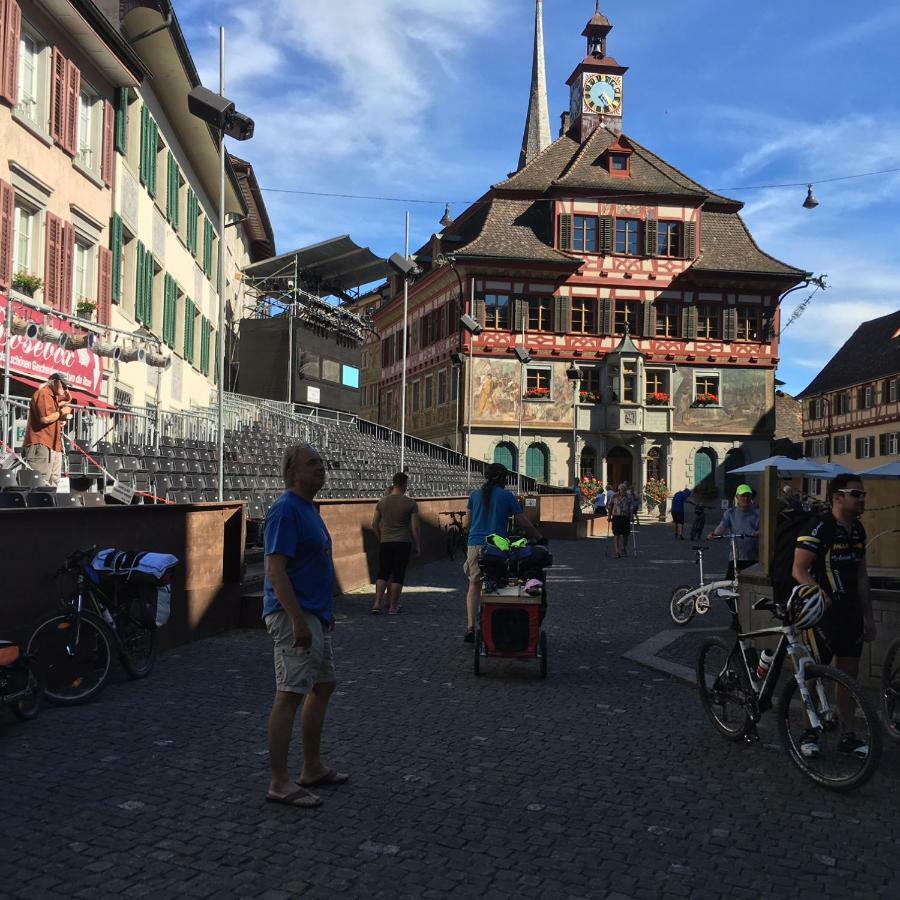 ガイリンゲン Alpenpanorama Am Hochrheinヴィラ エクステリア 写真