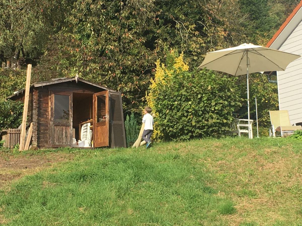 ガイリンゲン Alpenpanorama Am Hochrheinヴィラ エクステリア 写真