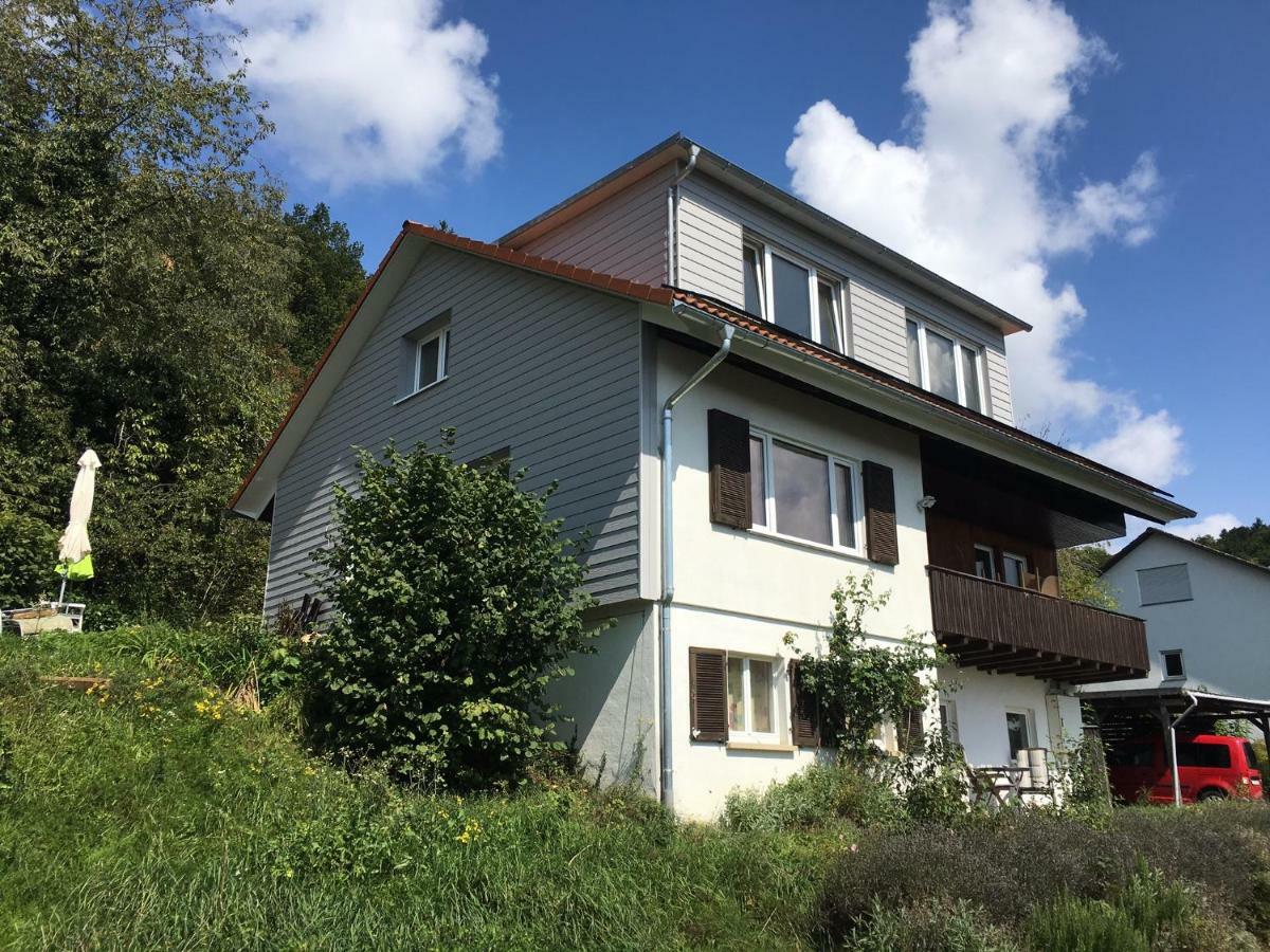 ガイリンゲン Alpenpanorama Am Hochrheinヴィラ エクステリア 写真