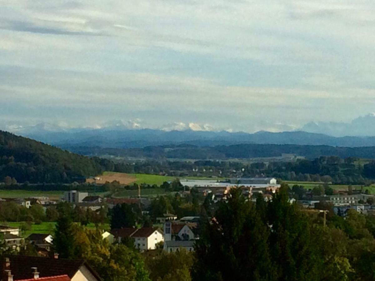 ガイリンゲン Alpenpanorama Am Hochrheinヴィラ エクステリア 写真