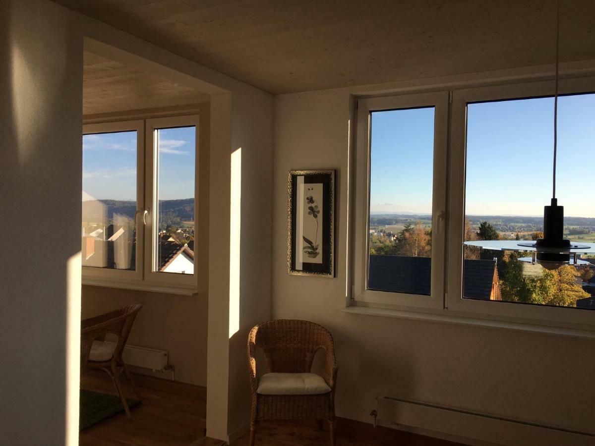 ガイリンゲン Alpenpanorama Am Hochrheinヴィラ エクステリア 写真