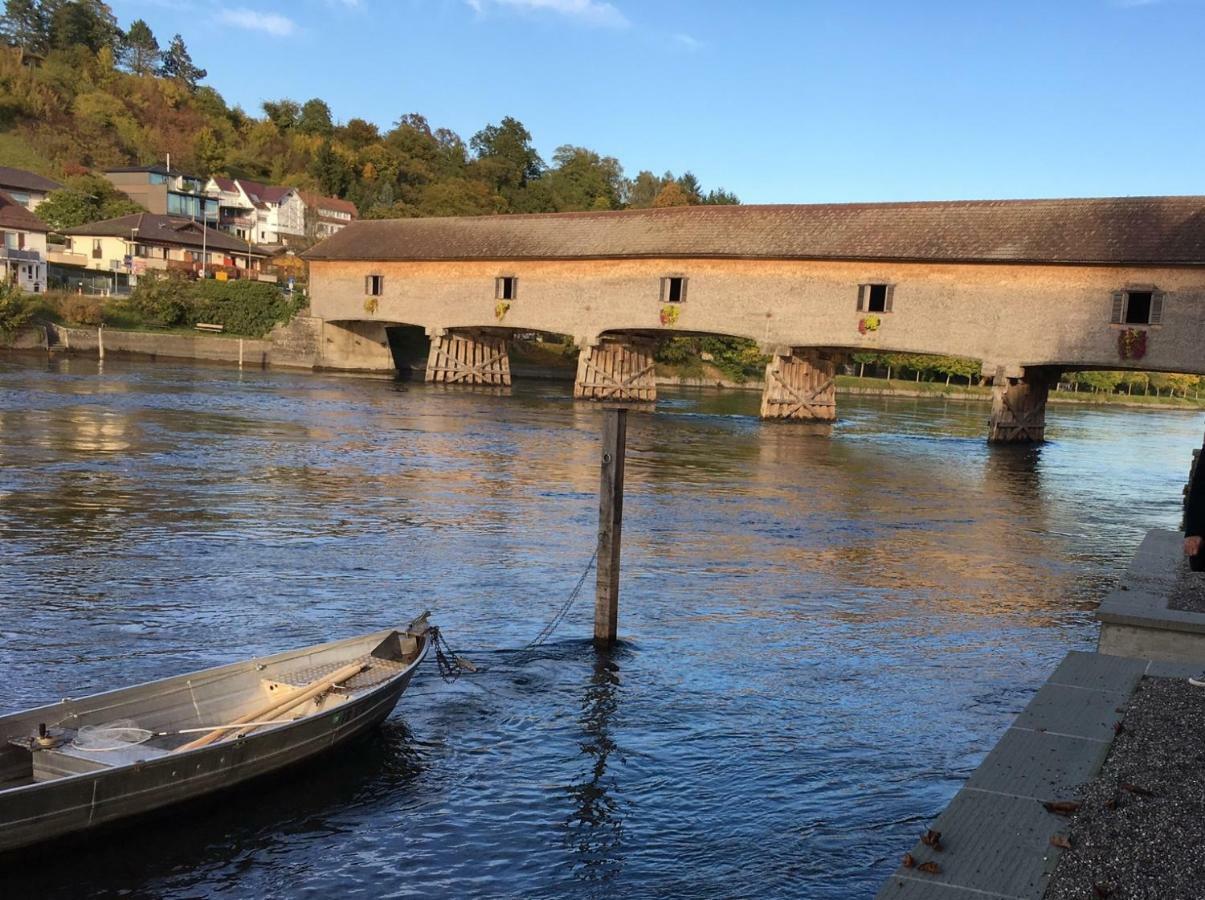 ガイリンゲン Alpenpanorama Am Hochrheinヴィラ エクステリア 写真